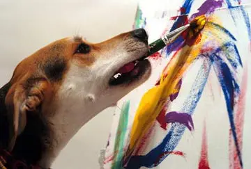 Jack Russell