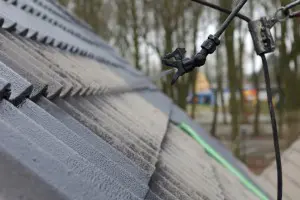 dak coaten 4