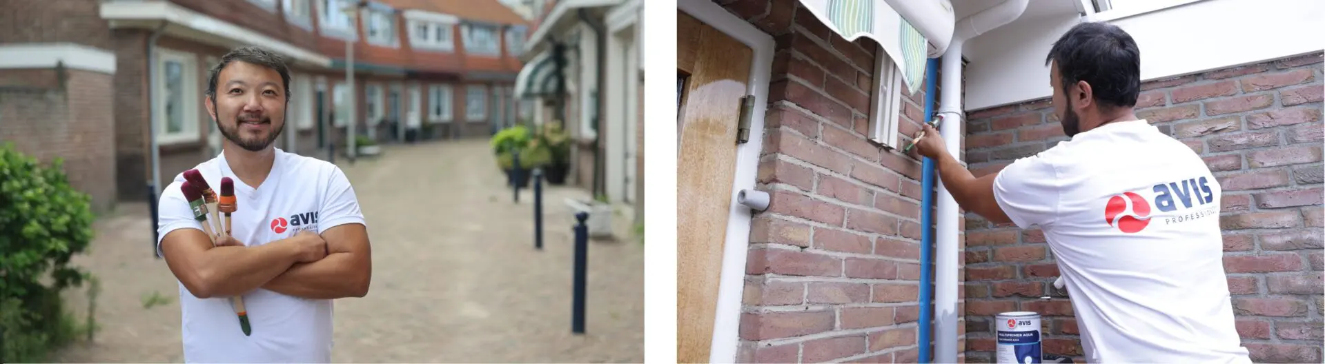 Avis Multiprimer Aqua